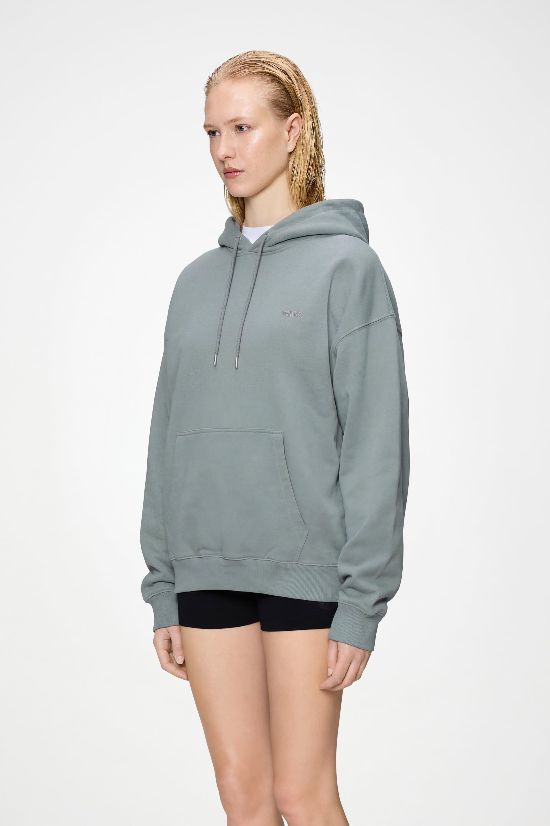 Classic Hoodie Blurred